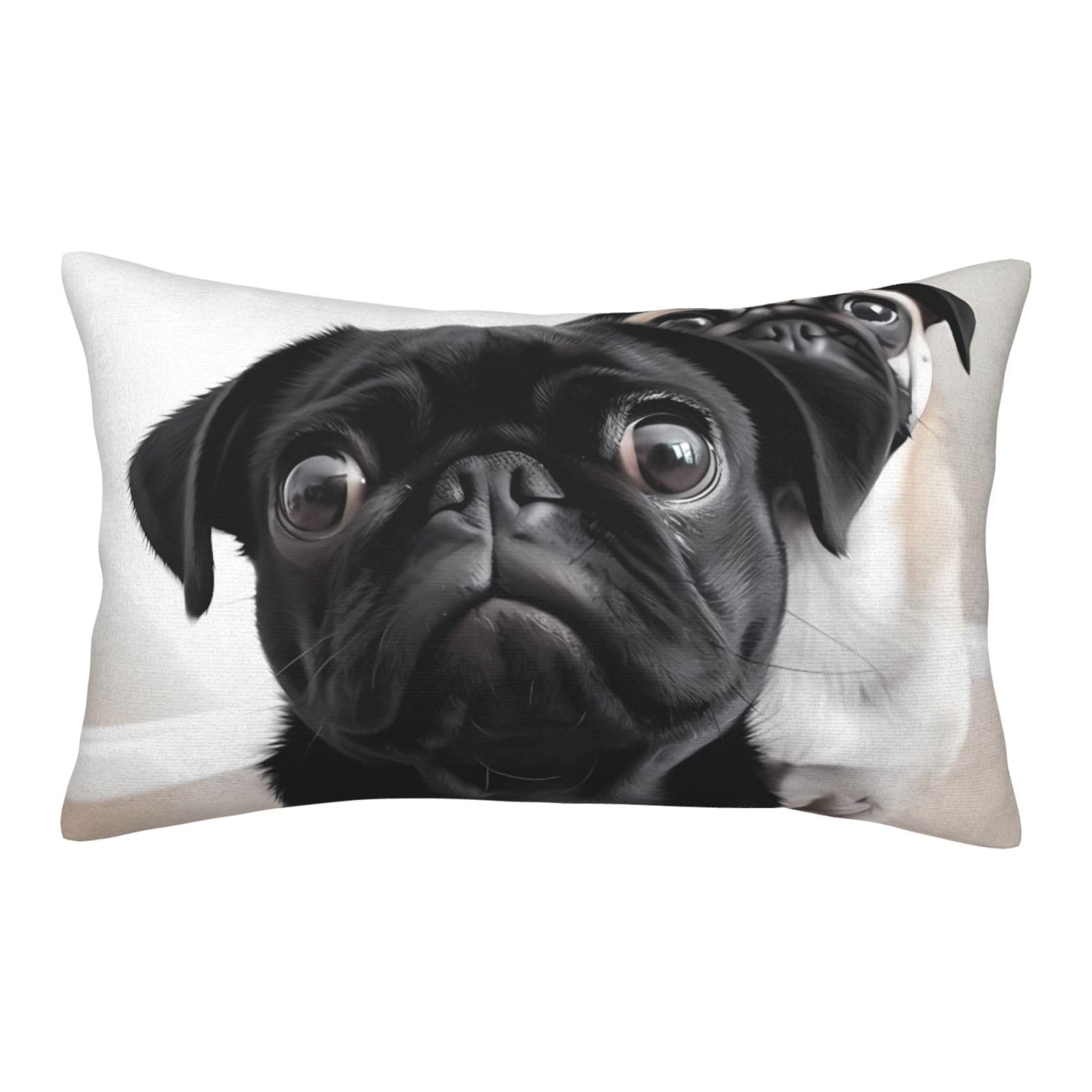 Velvet Pillowcases 20"x30" Ultra Soft Breathable Pillow Cases, Luxury Fuzzy Throw Pillow Covers with Zipper, Cute Black Pug Dog Pillow Shams All Seasons Decorative Cushion Cases for Couch