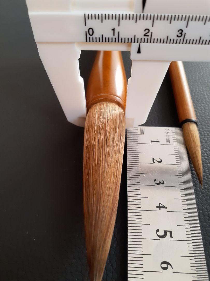 Amazon.co.jp: 広島県 伝統工芸品 熊野筆 ダルマ天然木軸馬毛6号 天然
