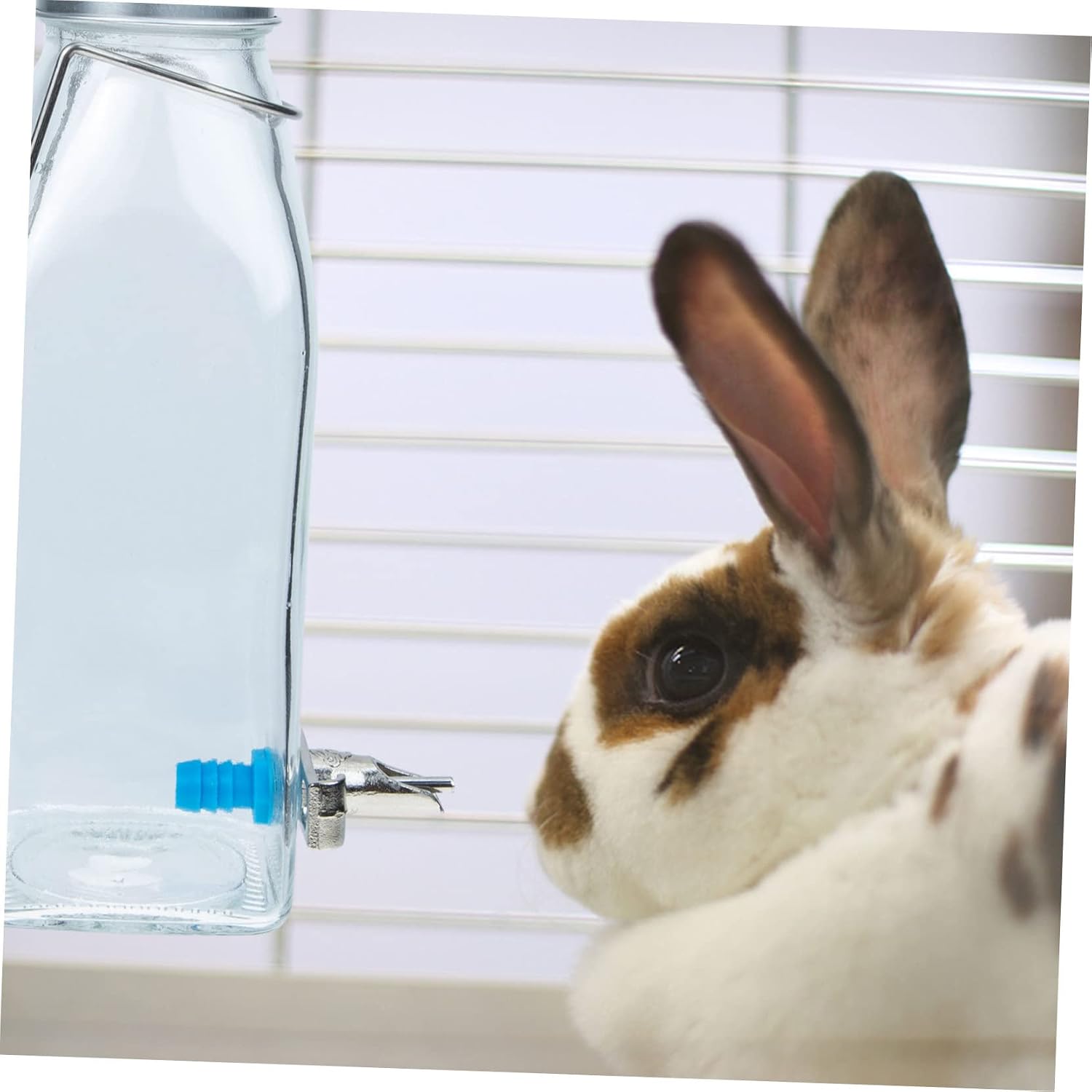 Small Pet Rabbit Water Bottle Non Drip Hanging Water Feeder for Cage Smooth Surface Suitable for Hamster Chinchilla Puppy and Other Small Pets