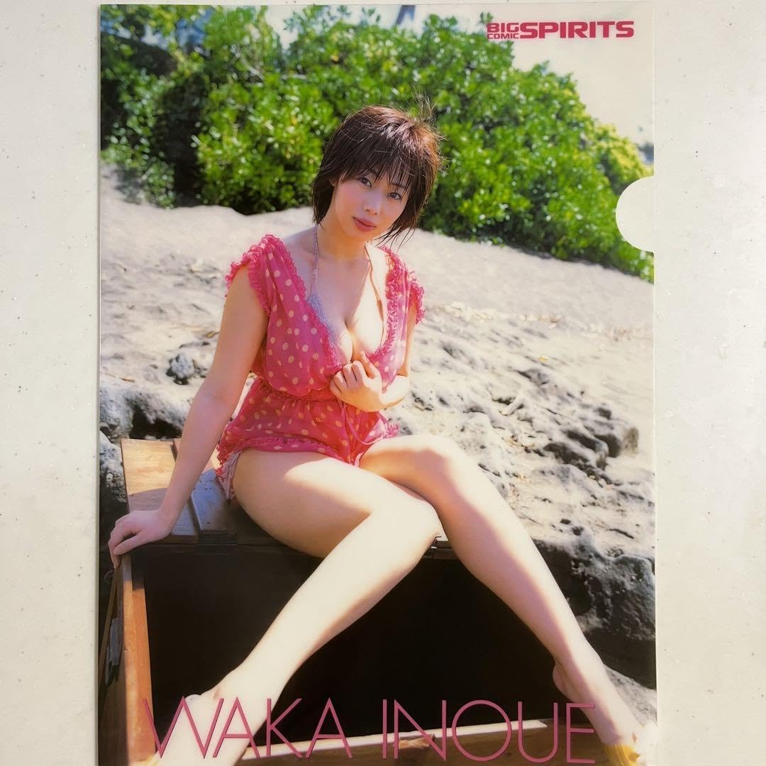 Amazon.co.jp: 井上和香 クリアファイル3枚セット ビッグコミック