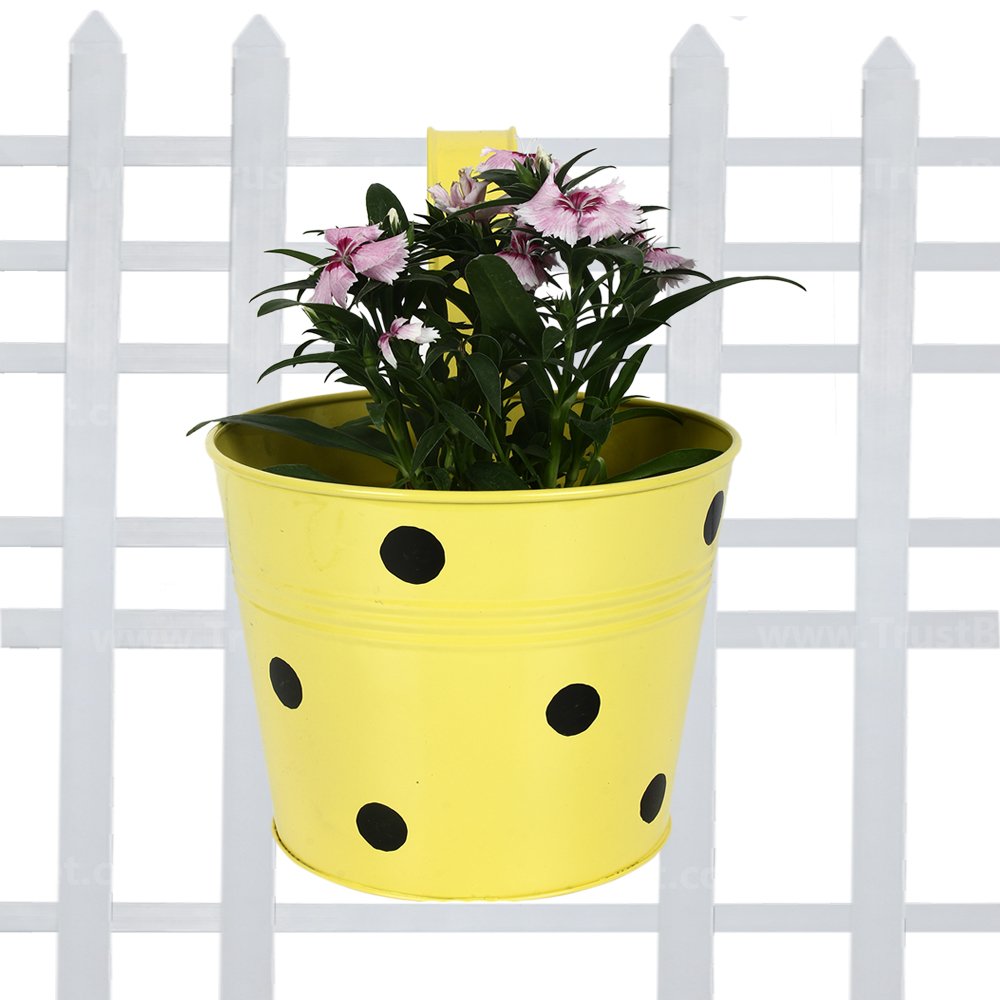 TrustBasket Single Pot Railing Plant with Polka Dots (Pack of 1) - (Yellow) Dotted Railing Metal Planters for Balcony and Home Gardening, Indoor, Outdoor (B01DXSGG9Y) Amazon Price History, Amazon Price Tracker