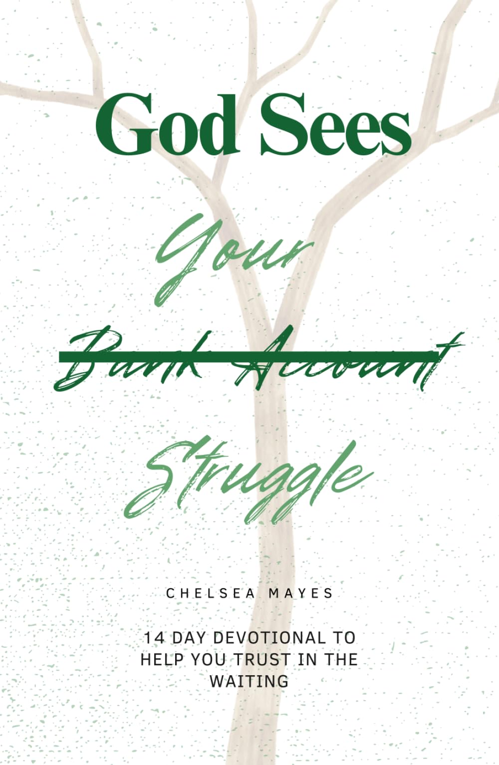 God Sees Your Struggle: A Short 14 Day Devotional for Trusting God Through Financial Stress and Uncertain Seasons