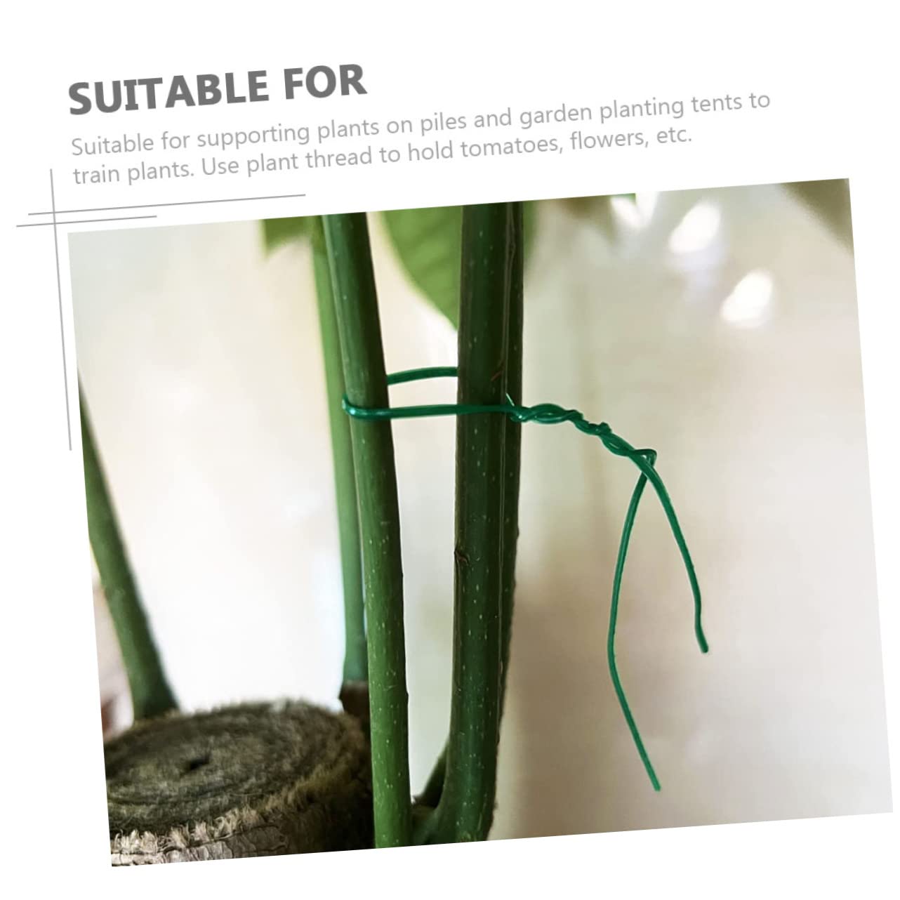 Toddmomy 2000pezzi Giardinaggio per per Rampicanti e Premium e Resistente Facili Usare