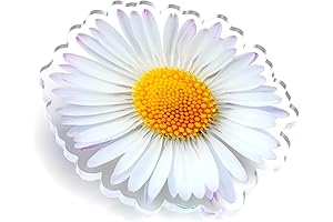 Acrylic Charms: Floral Flair for Your Bogg Bag or Tote