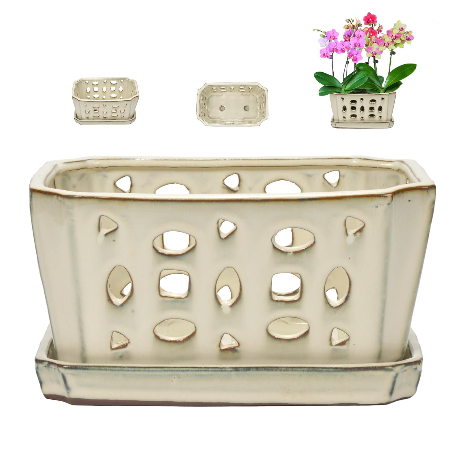 W&W Orchid Pot, Cream White, 9.7 Inch