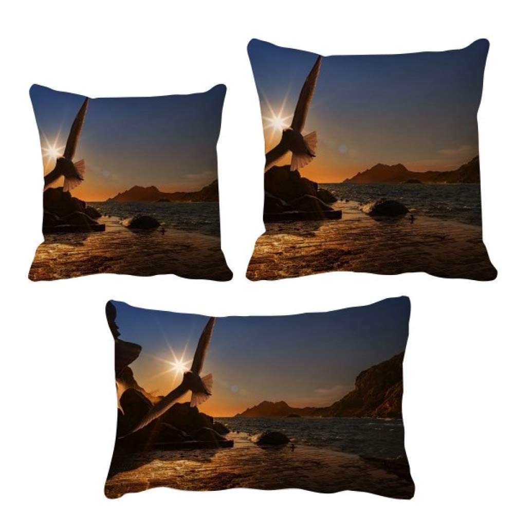 Housse de coussin Ocean Eagle un cadeau nature idéal pour la maison