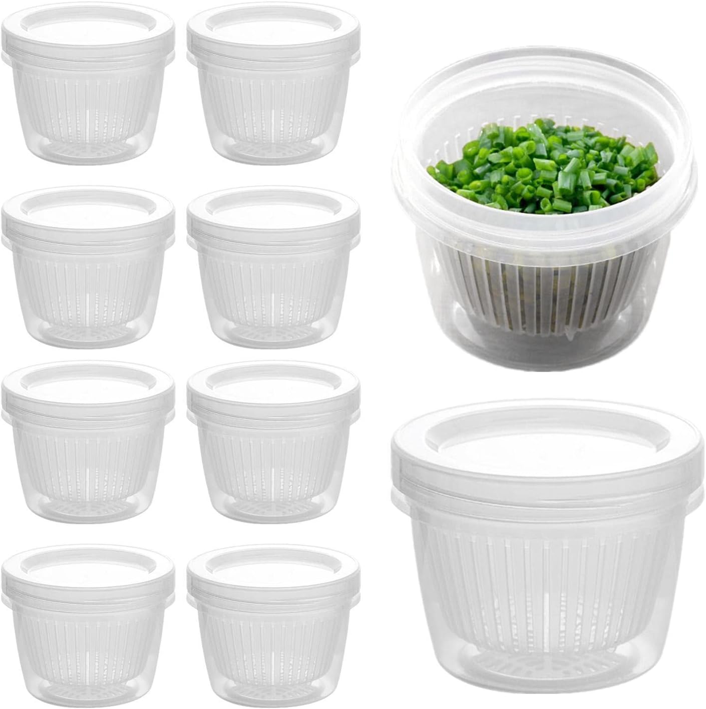 冷蔵庫保存容器 - 5/10/20 個の二重層野菜密封キーパー,みじん切りネギ・生姜・にんにく・野菜用密閉キーパー Hozilen