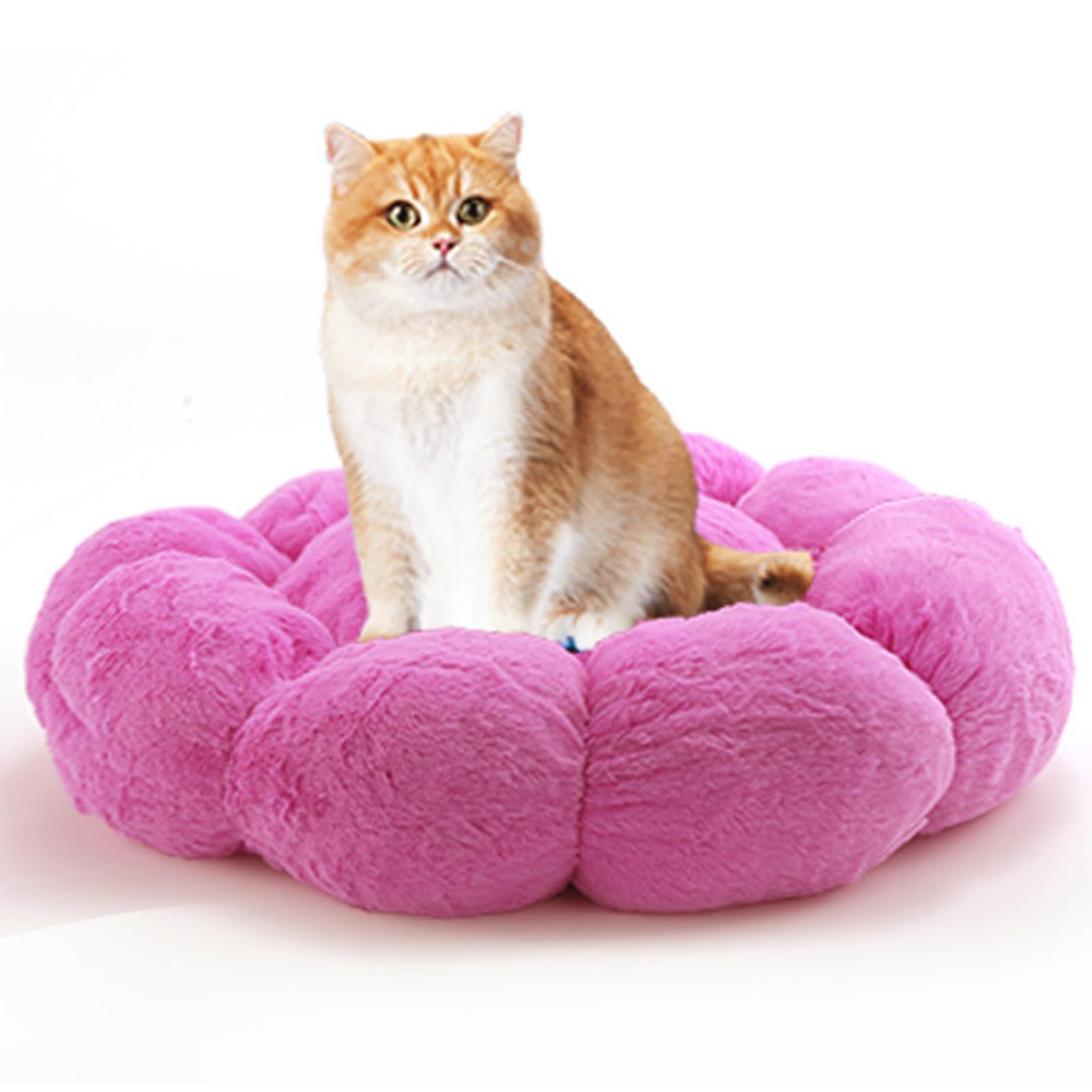 Calming Cat Bed Anti Anxiety Donut Dog Bed Cat Beds for Indoor Cats Fluffy Cute Pet Bed Anti-Slip for Indoor Cats,Machine Washable,15 * 15inch Pink