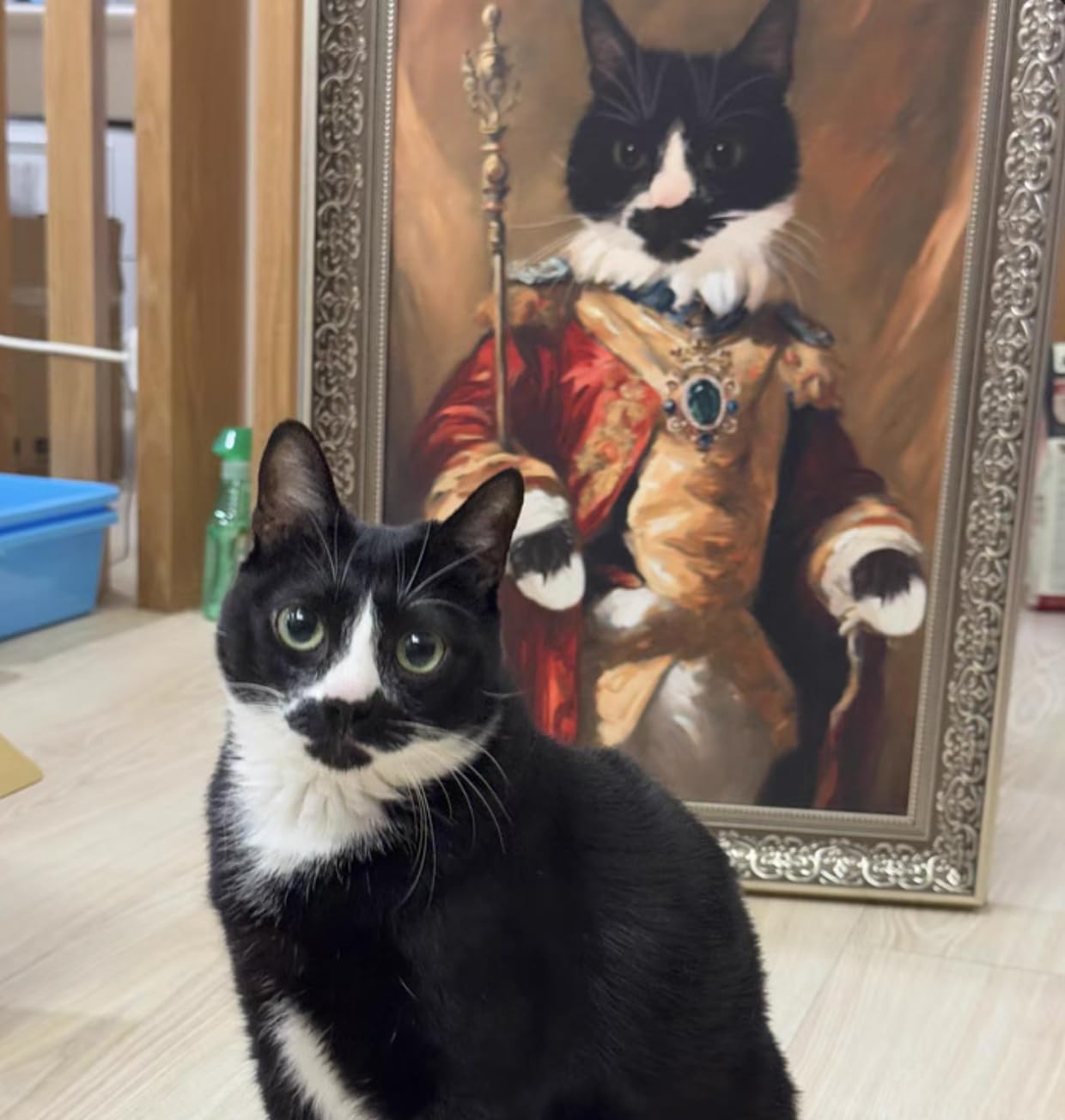 Amazon.co.jp: ペットの写真で作る肖像画、貴族風、フレーム付き