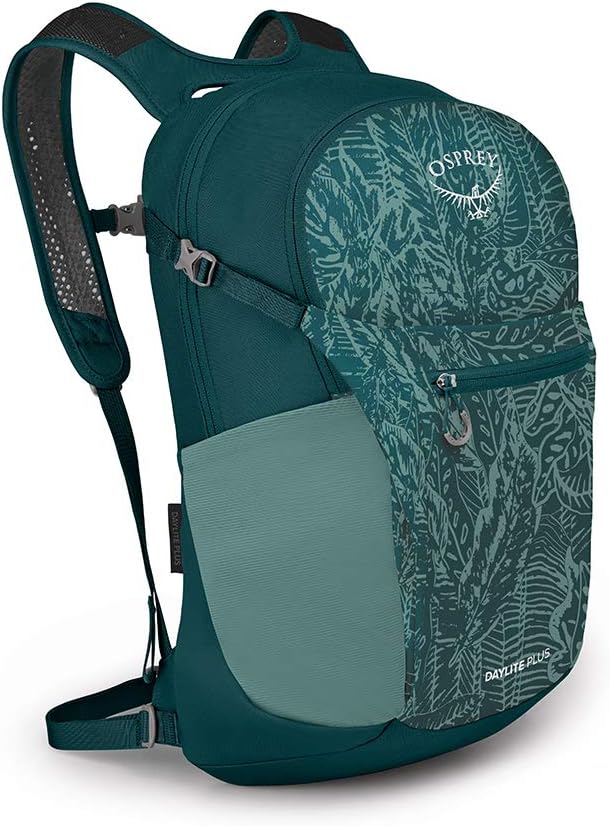 Osprey Daylite Plus Daypack, Aluminum Grey, One Size : Clothing, Shoes & Jewelry