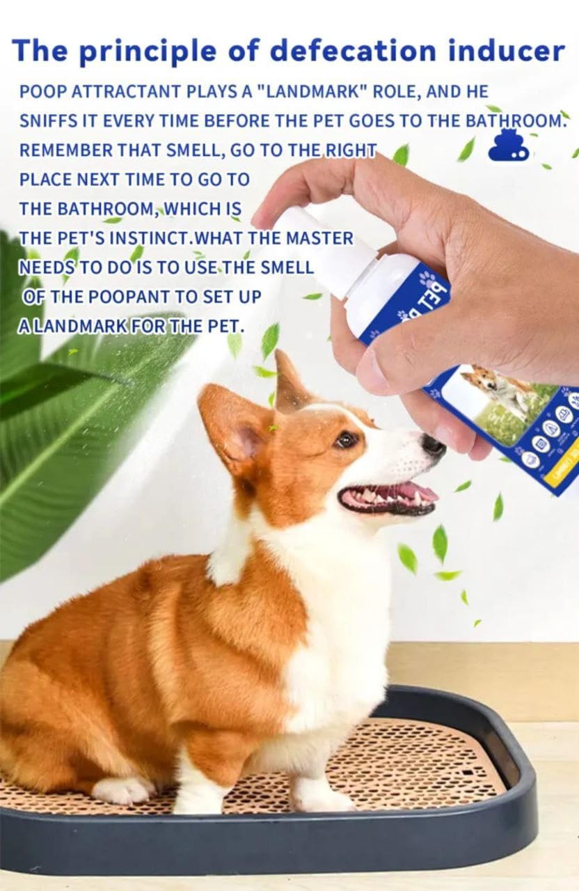 Pet Potty Training Spray, Safely Discourages Marking, for Dogs and Cats, 100ml 4