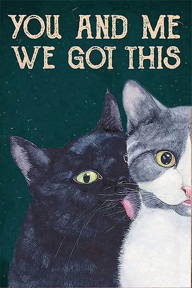 You and Me We Got This Vintage Poster Metal Tin Sign Iron Painting Plaque Wall Decor Bar Club Novelty Bathroom Cafe Store 8x12 Inch