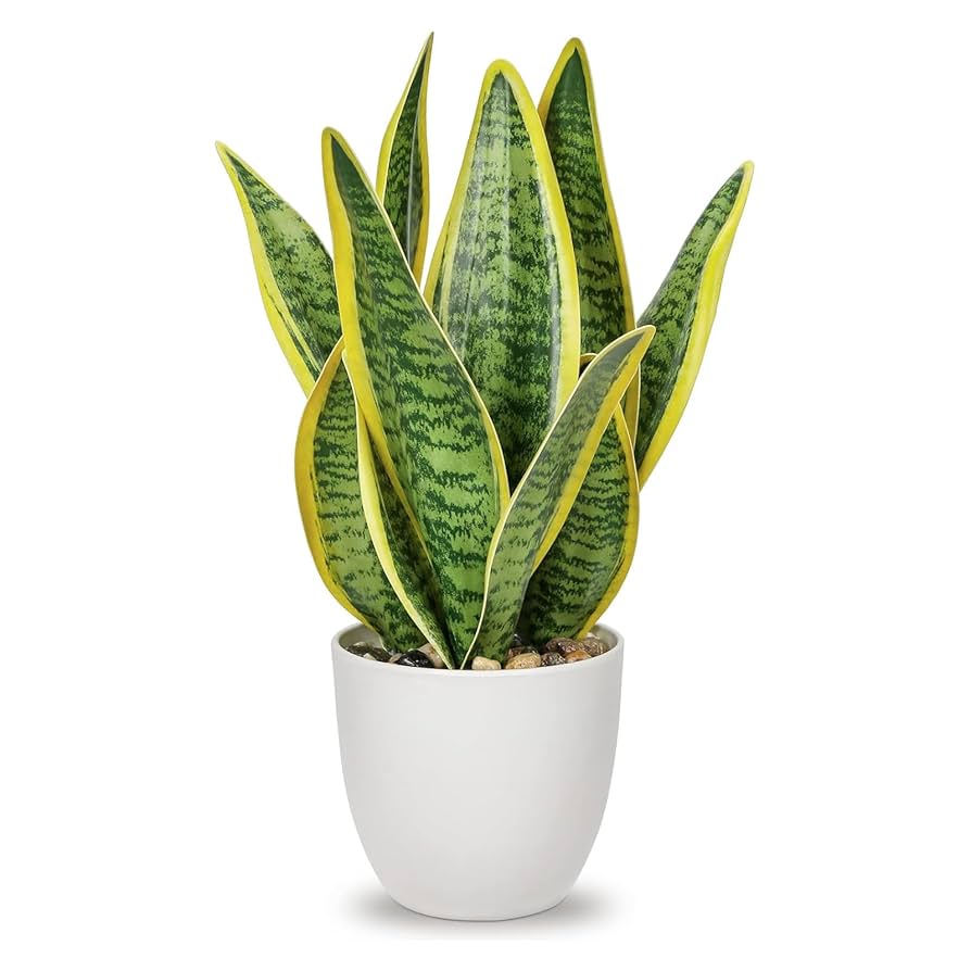 光触媒　人工観葉植物　フェイクグリーン　サンスベリアスタンドセット インテリアグリーン おしゃれ 人工観葉植物 おすすめ リアル