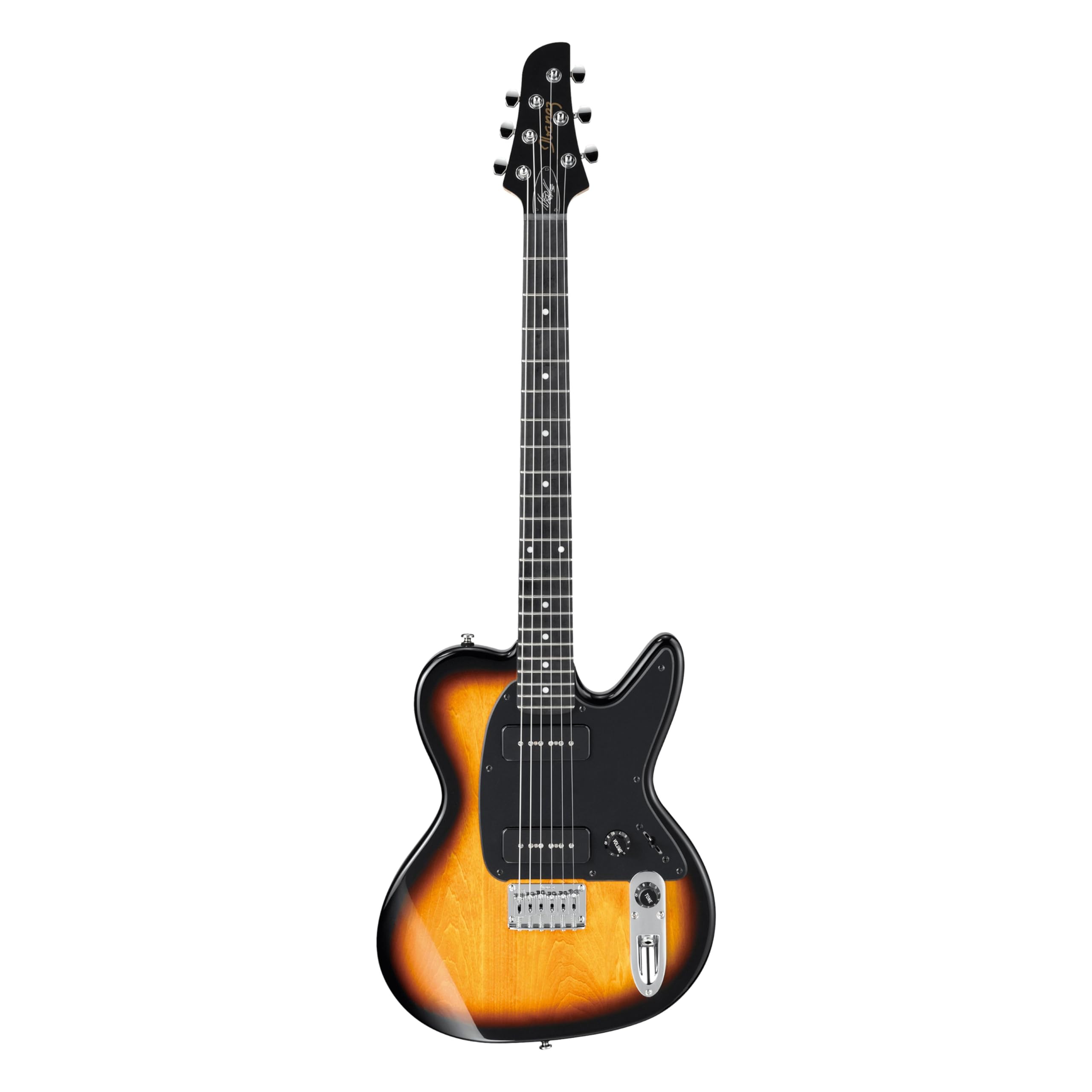 Amazon.com: Ibanez Noodles Signature 6 String Electric Guitar