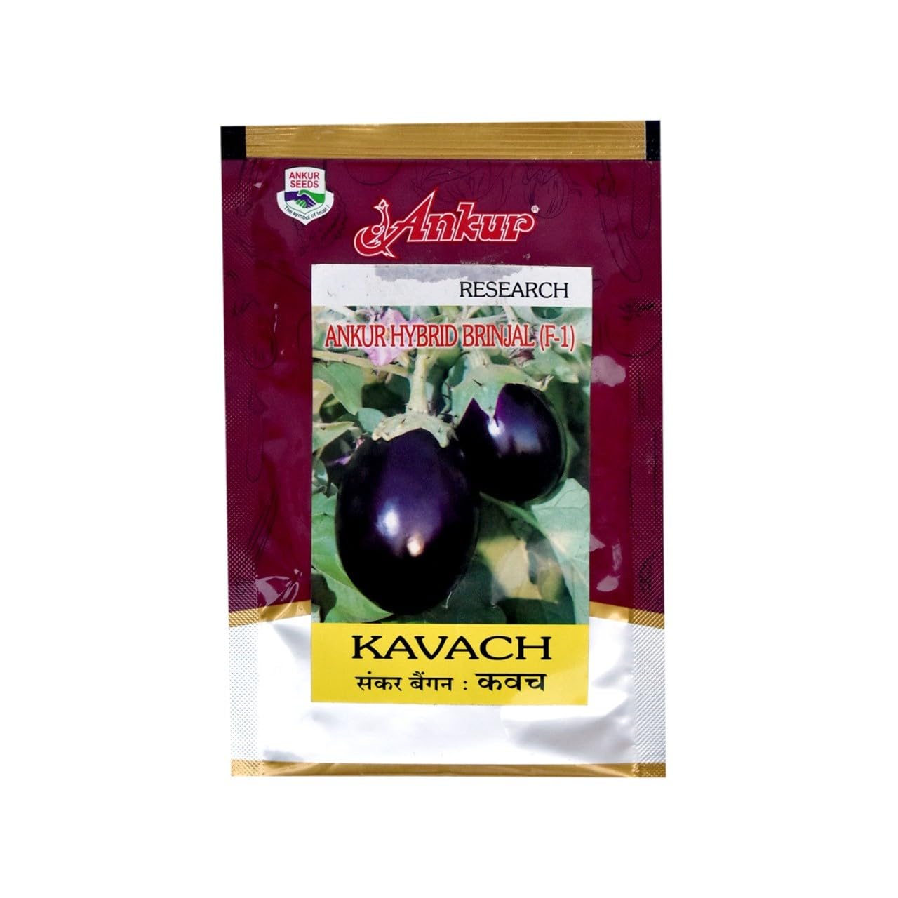 Ankur Hybrid Brinjal (F-1) Seeds, Kavach Variety, 10g (B0DDXP7W6F) Amazon Price History, Amazon Price Tracker