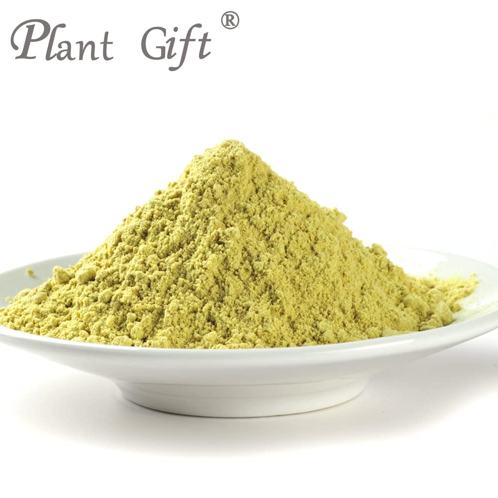 Plant Gift 100% Pure Balsam Pear Powder 苦瓜粉 Natürliches Bittermelonenmehl, Großes Aroma für Getränke, Smoothie, Kuchen und Getränke, Nicht-GVO Pulver, Kein Füllstoff, Keine Zusätze 100G/3.25oz
