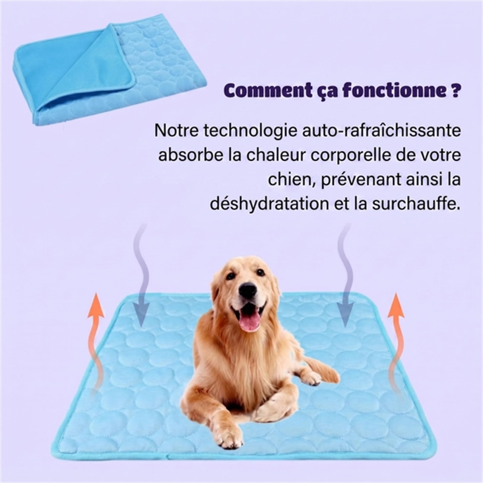 Pawolaf Tapis Rafraichissant Chien, Tapis de Refroidissement Chien Lavable et Pliable pour Grands Chiens et Chats, Maison Voiture Voyage