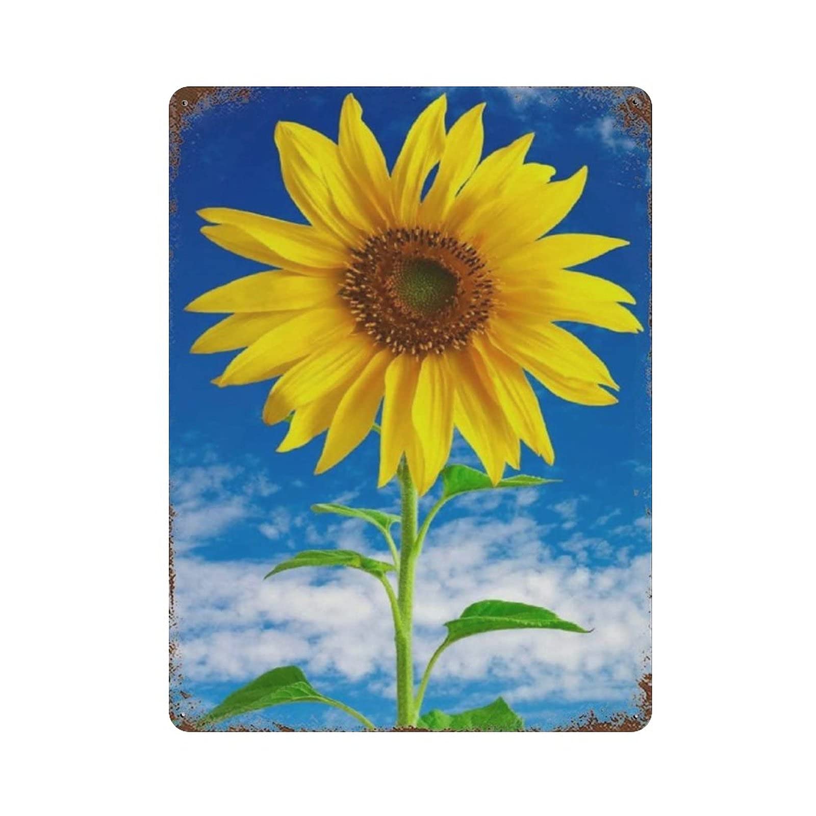 Sunflower Blue Sky Metal Signs, Fun Poster For Bar Kitchen Cafe Farmhouse Wall Decor 12x16 inch