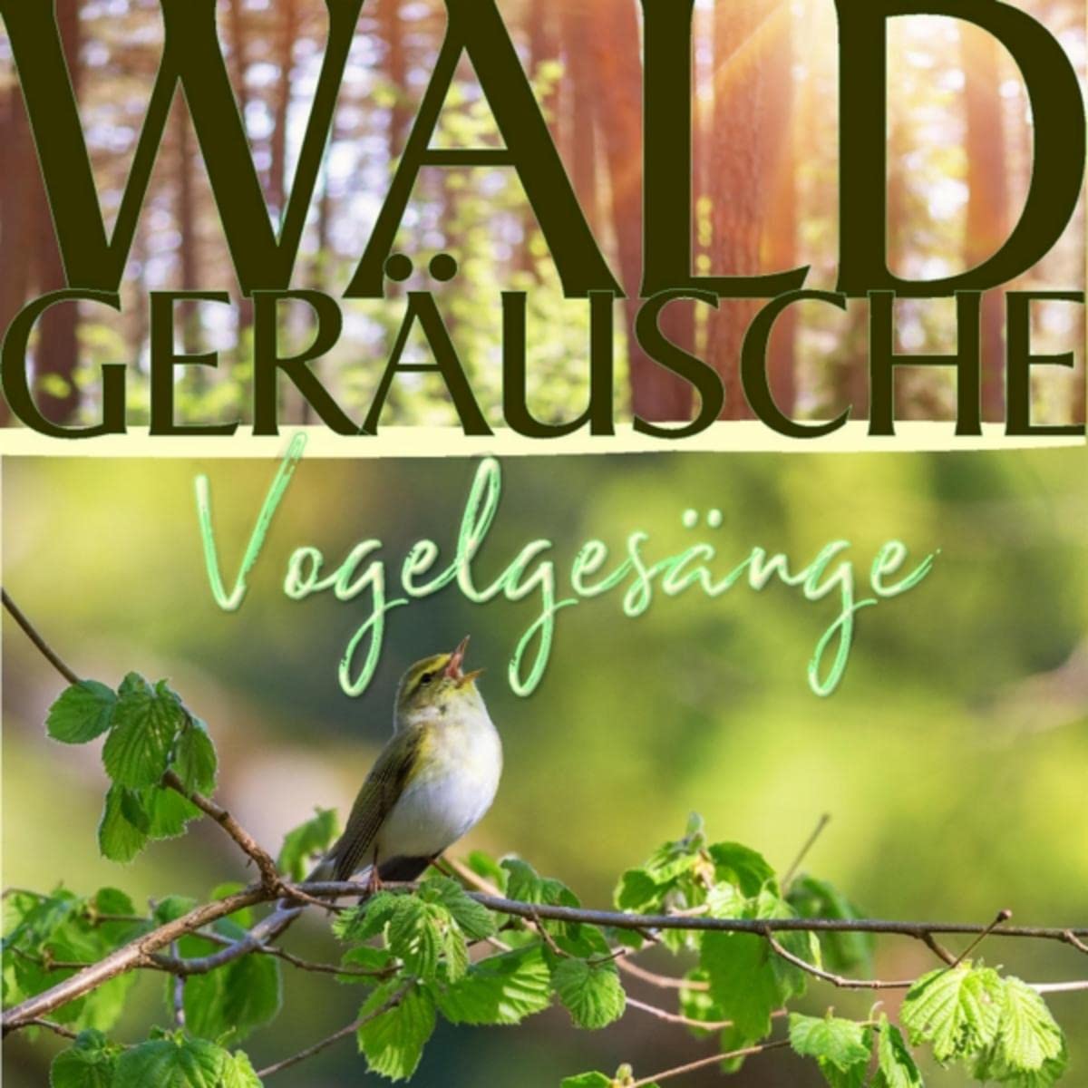 Waldgeräusche