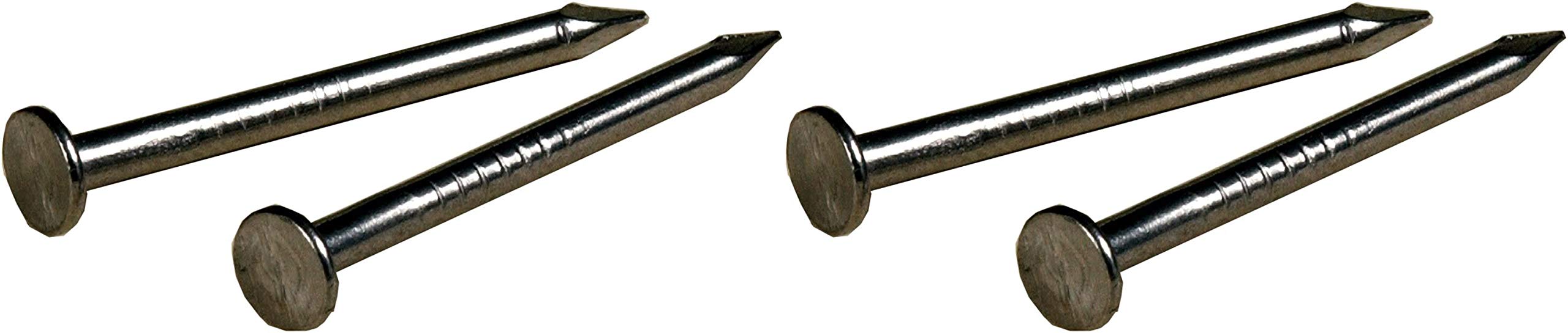 The Hillman Group 122530 Stainless Steel Wire Nail Pack of 2