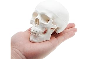 Skull & Co. Ergonomic Gaming Grip Case for Nintendo Switch OLED