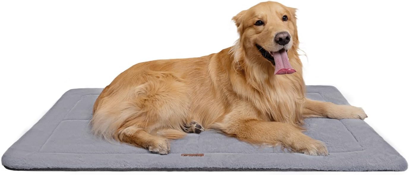 https://m.media-amazon.com/images/I/61hQp8N1+ZL._AC_SL1500_.jpg