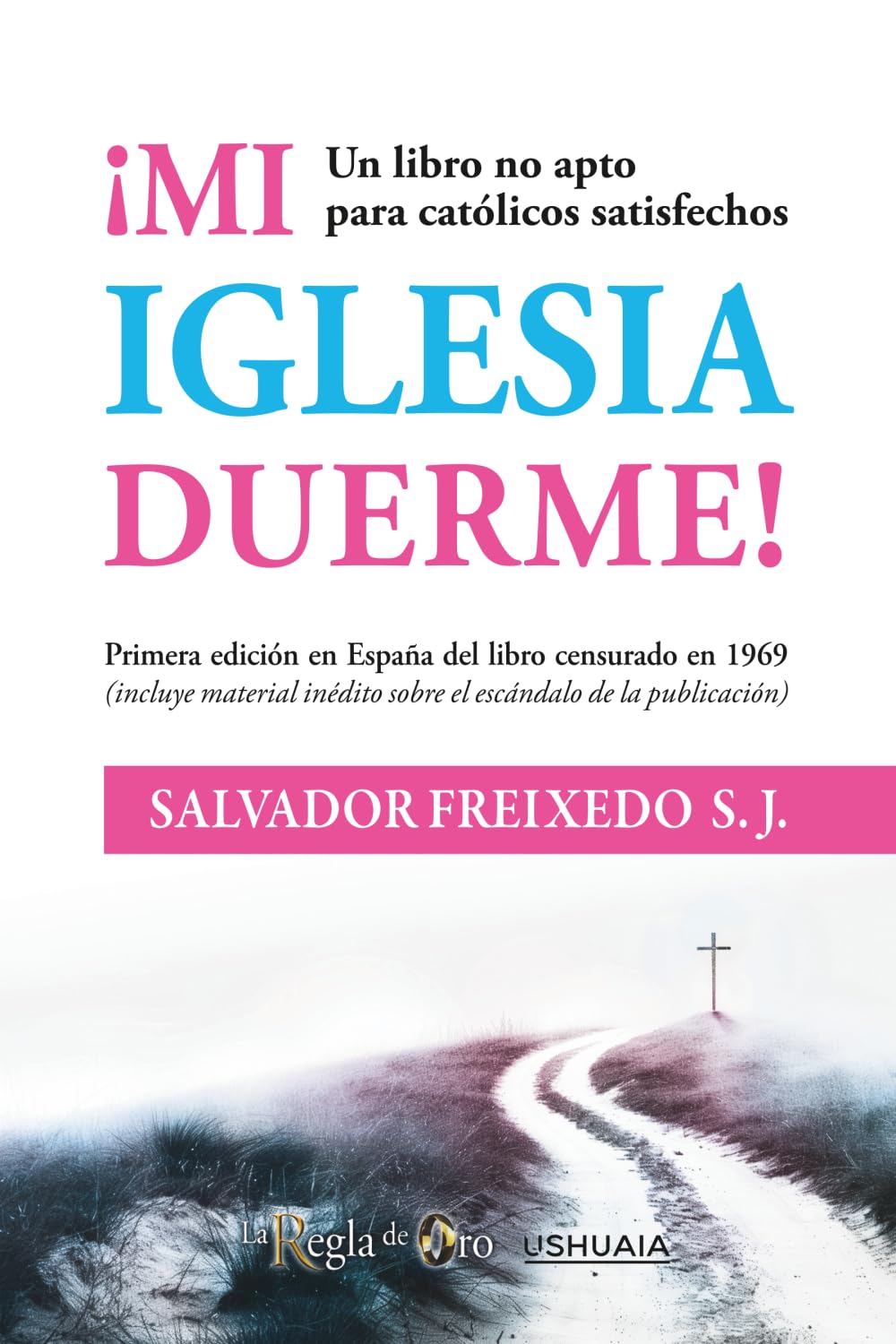 Mi Iglesia duerme: Un libro no apto para católicos satisfechos (ENSAYO)