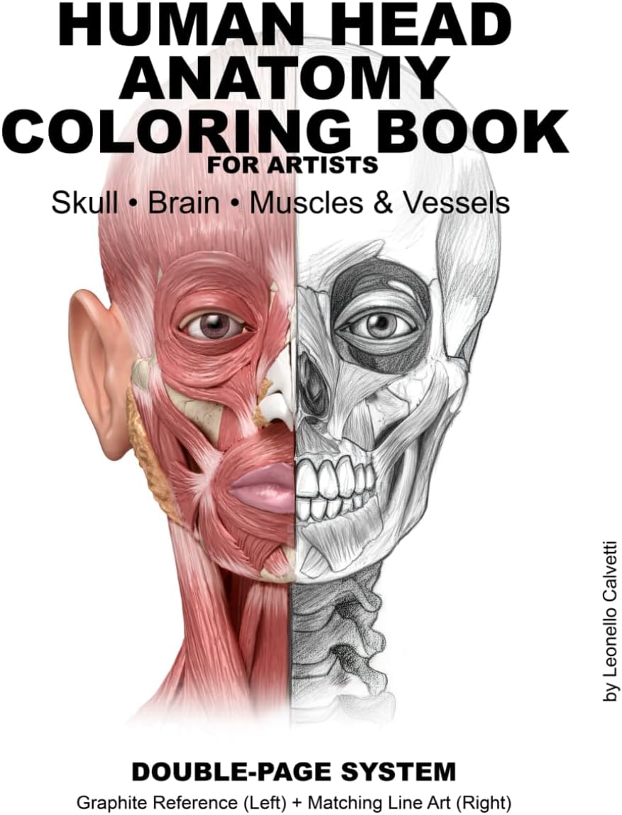 HUMAN HEAD ANATOMY COLORING BOOK FOR ARTISTS: Double-Page System: Graphite Reference (Left) + Matching Line Art (Right)