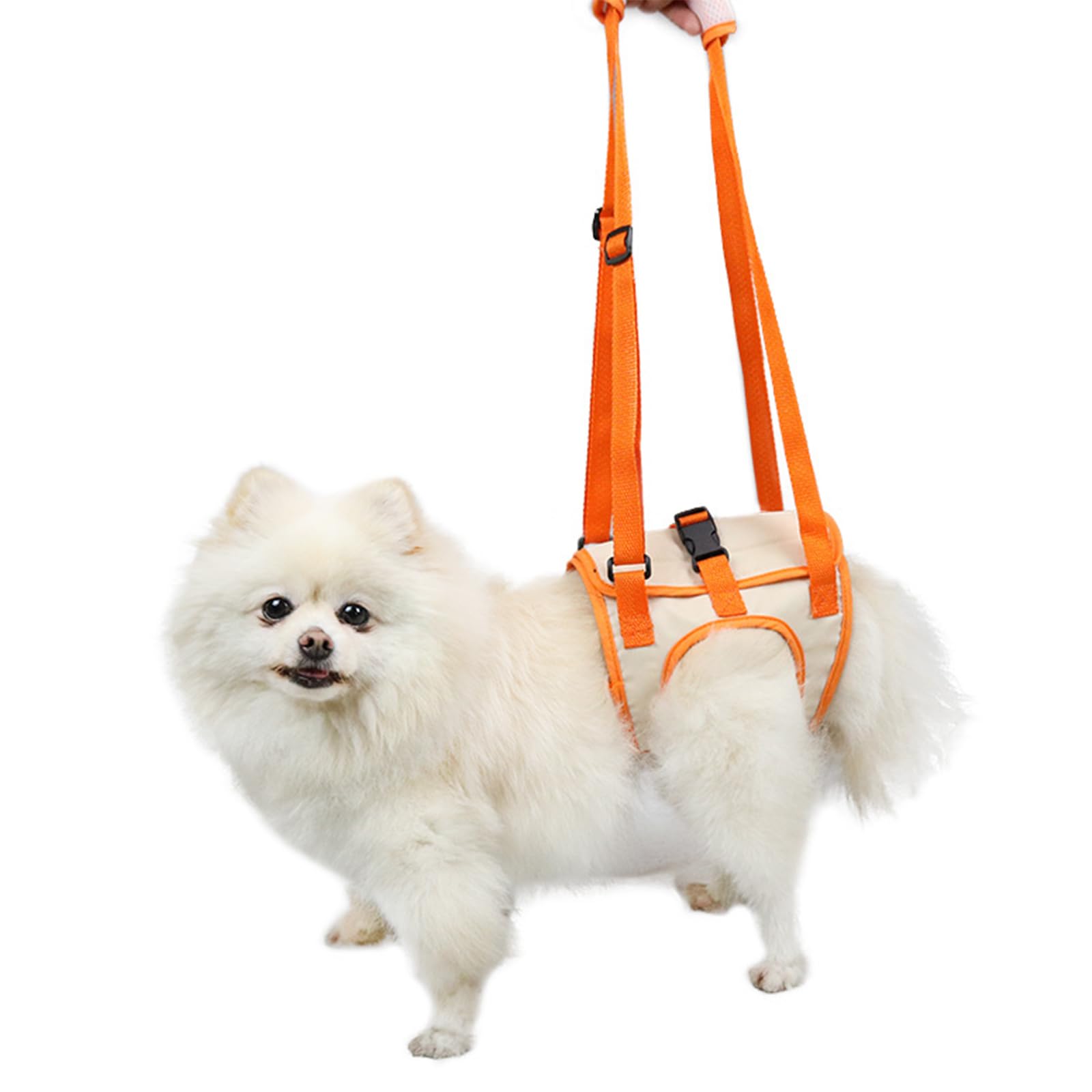 Paralyzed Dog Harness with Hind Leg Support - Small Sized Dog Sling, Adjustable Lift Harness, Hip Dysplasia Brace & ACL Tear Aid for Elderly Dogs -