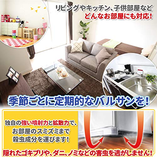 たぶんノミに噛まれたのでバルサンを焚きました 岡山で古家のリノベーションとdiyと子育て