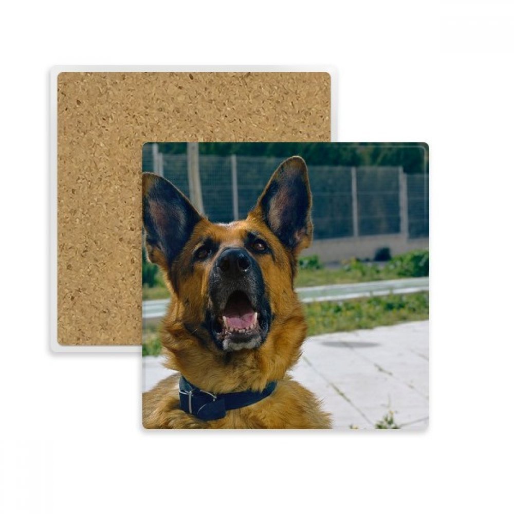 Sous-verre pierre absorbante chien idée cadeau originale pour amateurs de thé