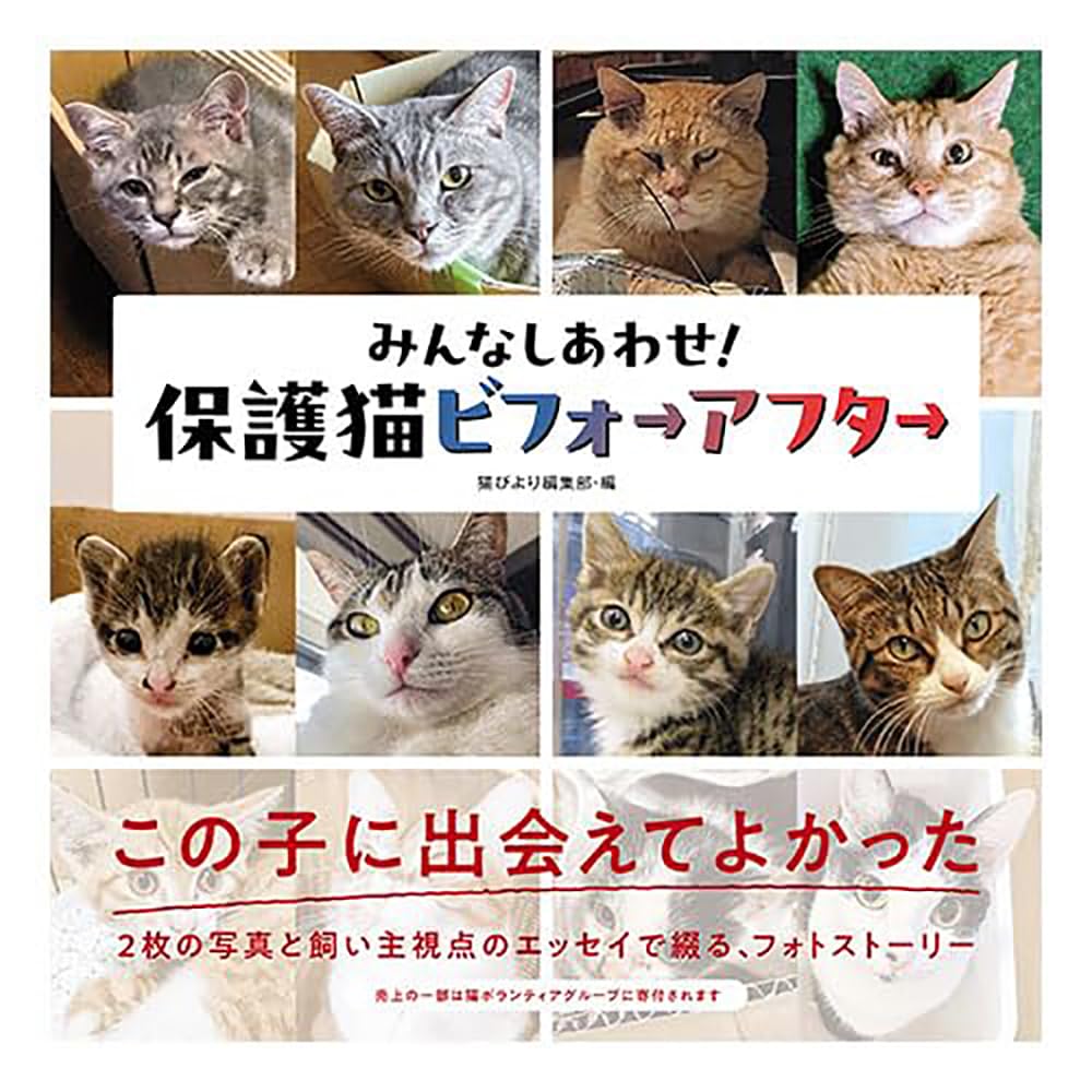 保護猫ちゃん　お幸せに みんなしあわせ！ 保護猫ビフォーアフター | 猫びより編集部 |本