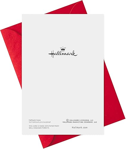 Miniatura 6 de Hallmark Paquete de tarjetas de feliz año nuevo, gato en sombrero (6 tarjetas navideñas con sobres)