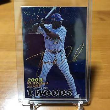 Amazon.co.jp: プロ野球チップス 横浜ベイスターズ タイロン