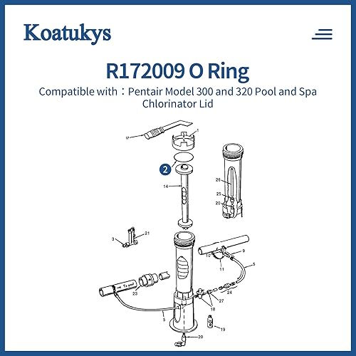 Miniatura 4 de R172009 O-283 O-Ring para Pentair Rainbow Modelo 300/320 Tapa de Clorador de Piscina y Spa (2/Pack)