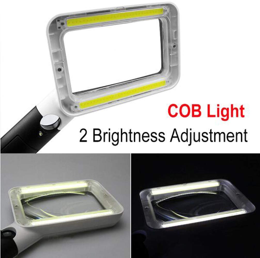 Lupa de Mano con luz LED COB, Lente acrílica 2X/20, Ayuda de Lectura iluminada portátil, Lupa para Leer Libros, periódicos, observación de Insectos y Pasatiempos, Ciencia