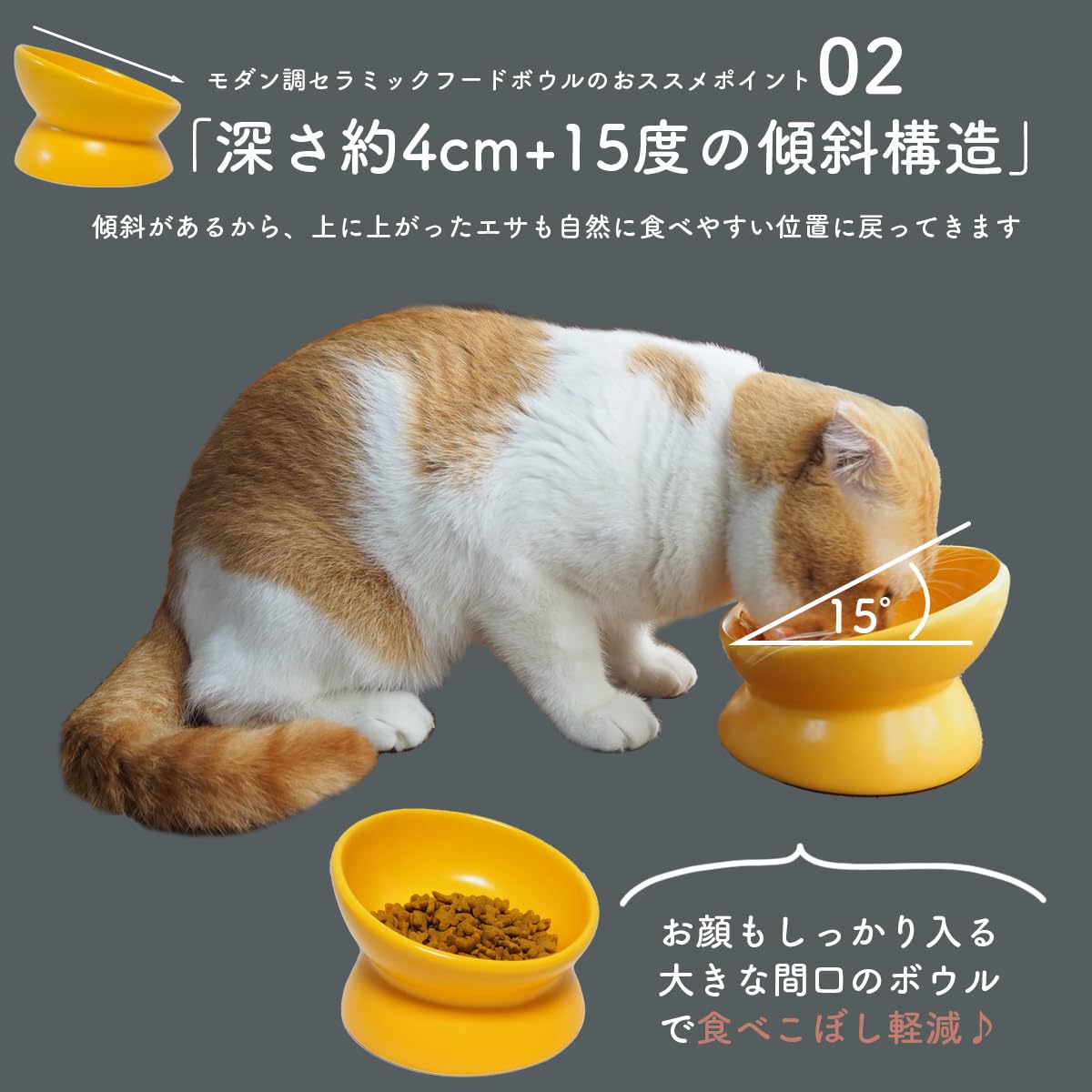 Amazon | [From Life Basics]《食べやすい15度傾斜のペット食器