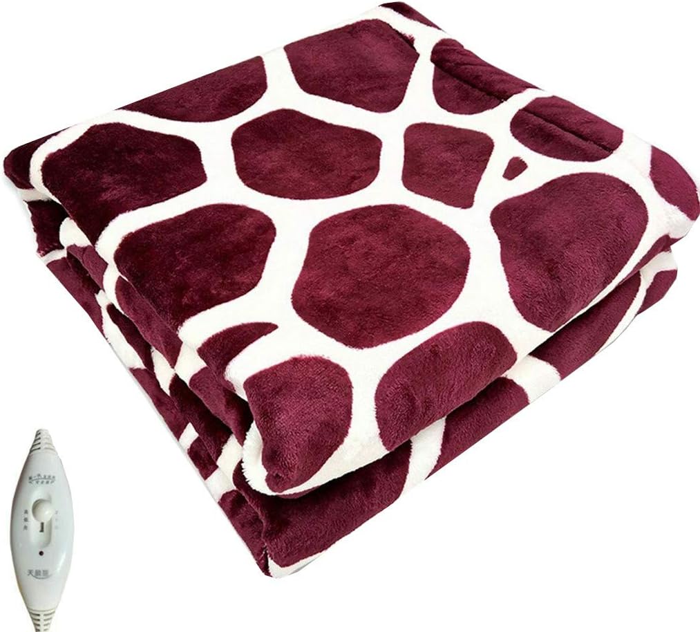 auto accogliente coperta riscaldata