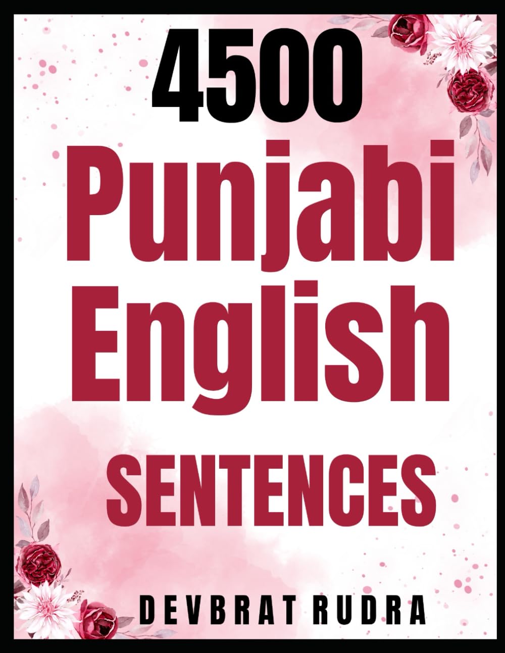 4500 Punjabi To English Sentences | Learn English Speaking For Punjabi Speakers | For Beginners      Paperback – August 30, 2025