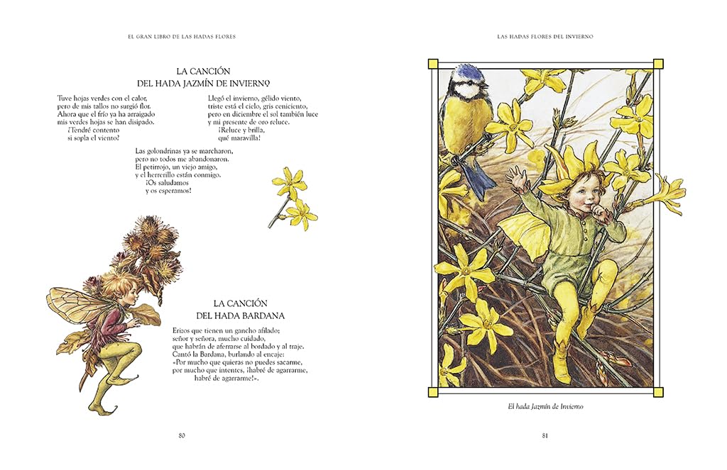 El gran libro de las Hadas Flores (Montena)