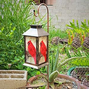 Solar Lanterns, Outdoor Hanging Lanterns Waterproof LED Solar Cardinal Lights Tabletop Lamp for Outdoor Patio Garden as Gifts for Mom Grandma Women Solar Lanterns Outdoor Hanging Lanterns Waterproof LED Solar Cardinal Lights Tabletop Lamp for Outdoor Patio Garden as Gifts for Mom Grandma Women