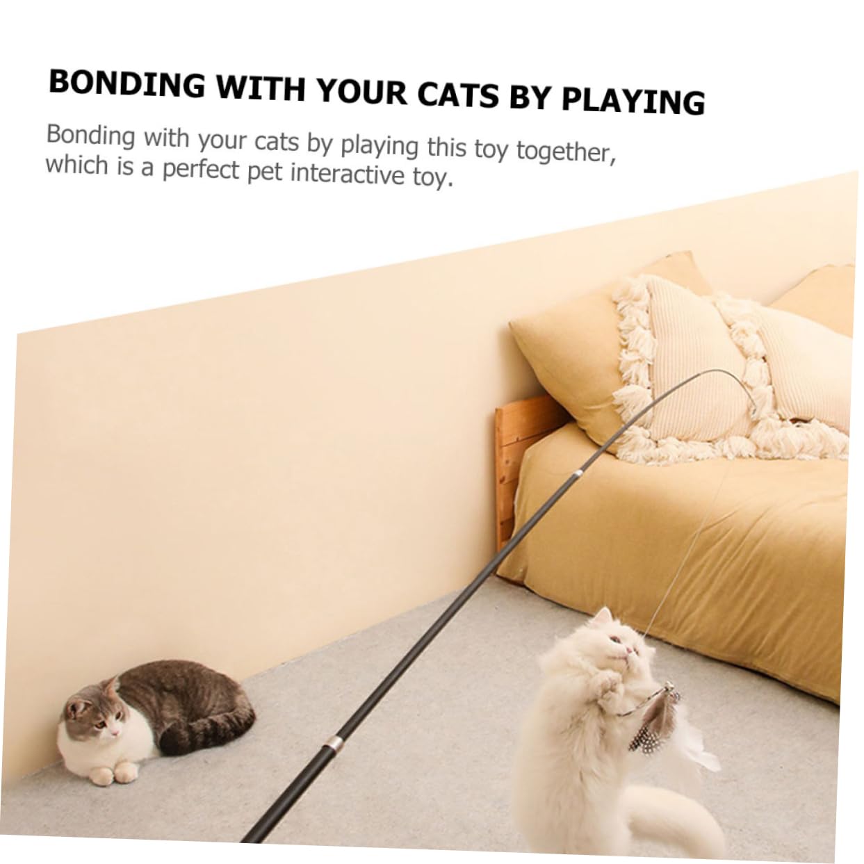 Kisangel 6pièces Canne Télescopique pour Chat avec Plumes Jouets Interactifs pour Instinct De Chasse des Félins pour Jeu Et Exercice