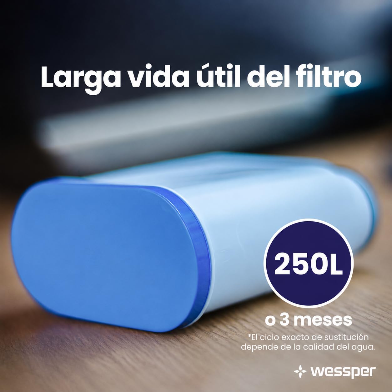 Wessper Kit de Mantenimiento para Philips & Saeco – 2x Filtros Compatibles con AquaClean CA6903, Descalcificador 500ml, 10x Pastillas, Grasa & Cepillo – Limpieza Cafetera Automática & Espresso