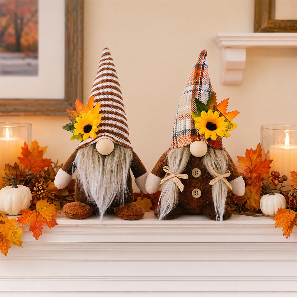 Agarte 2 Pcs Autumn Gonk Decorations, Fall Harvest Gnome, Handmade Seasonal Tabletop Display for Kitchen and Living Spaces