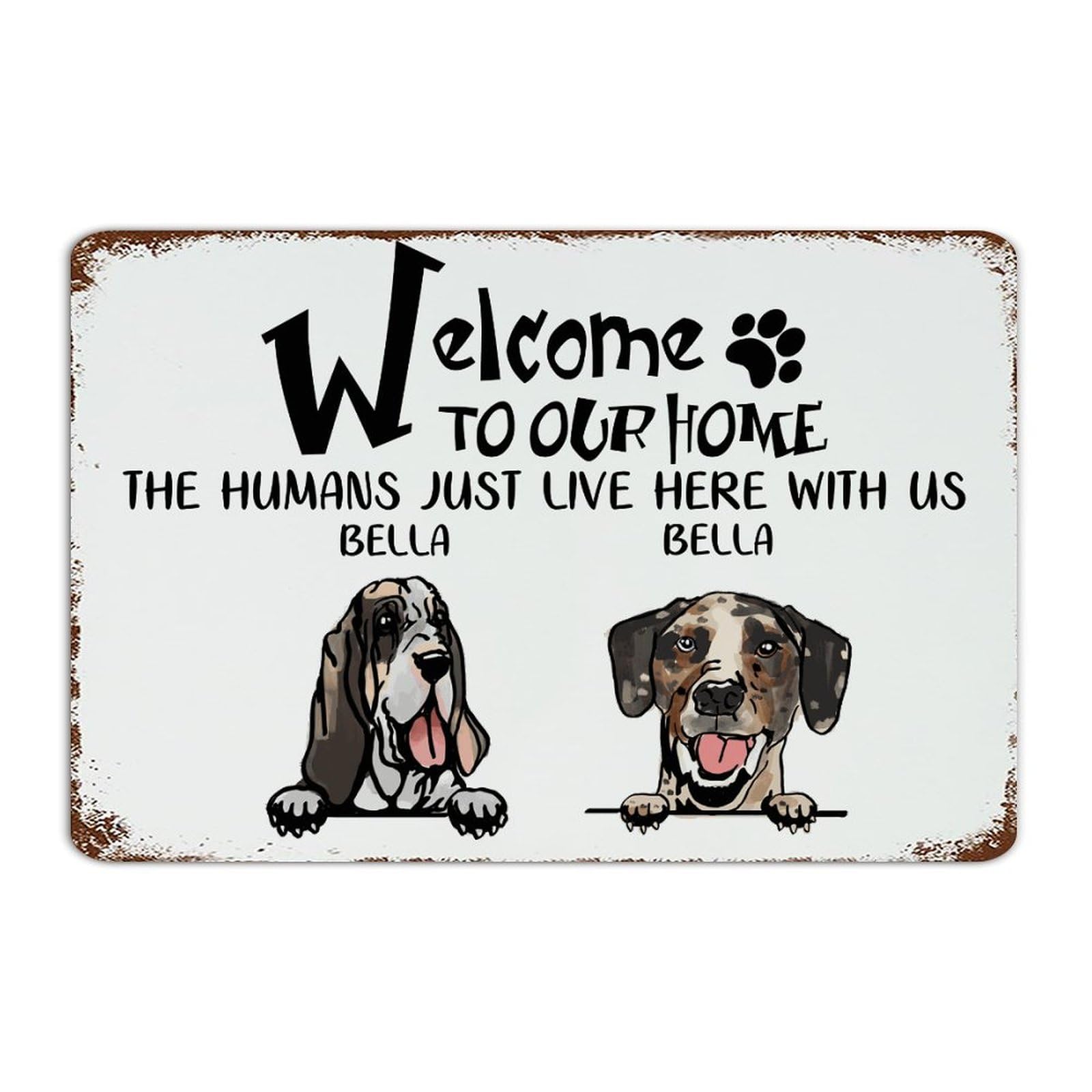 Plaque en métal personnalisée avec nom de chien et chat pour décoration de jardin