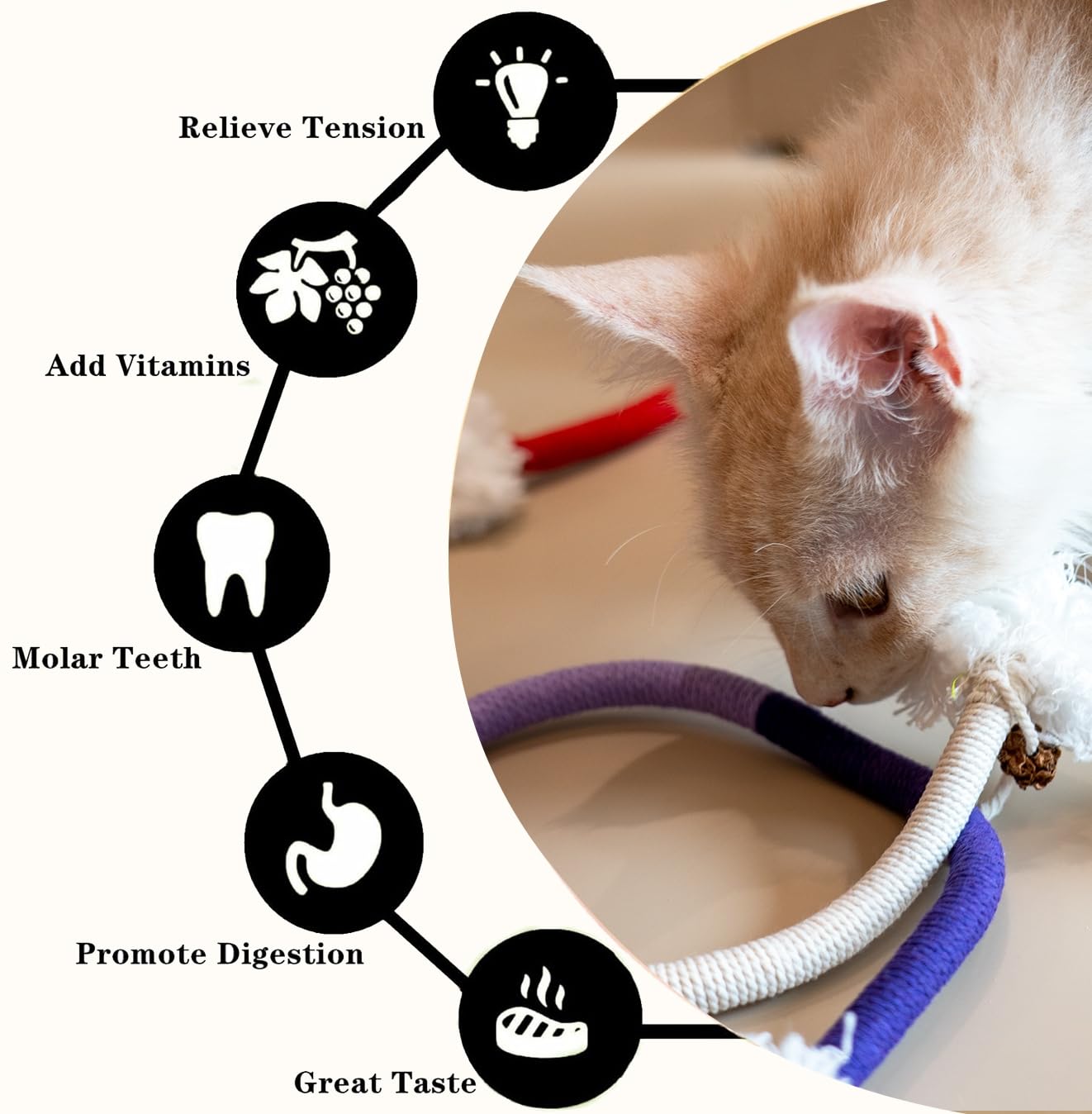 Petelligent 3-Pack Bent Cat Rope Toy, Pet Chew Toys, Interactive Tease Toys for Kittens Bite-Proof Playthings - Image 4