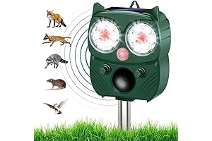 Solar-Powered Duck Deterrent for Your Pool's Serenity