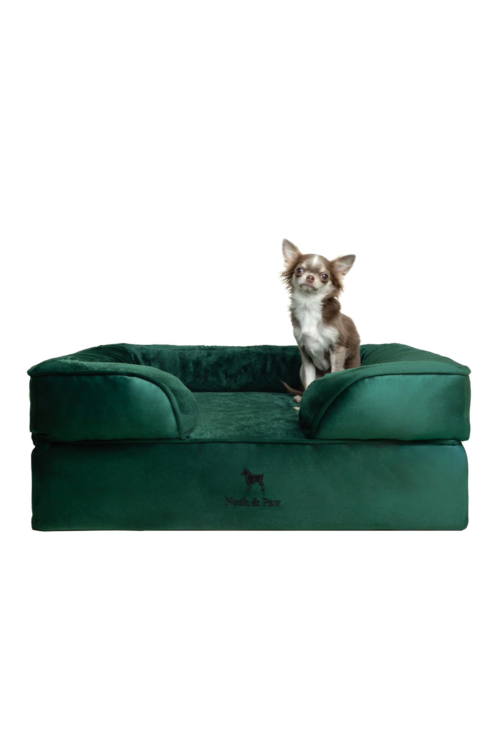 NOAH & PAW Orthopedic Dog Bed Dark Green