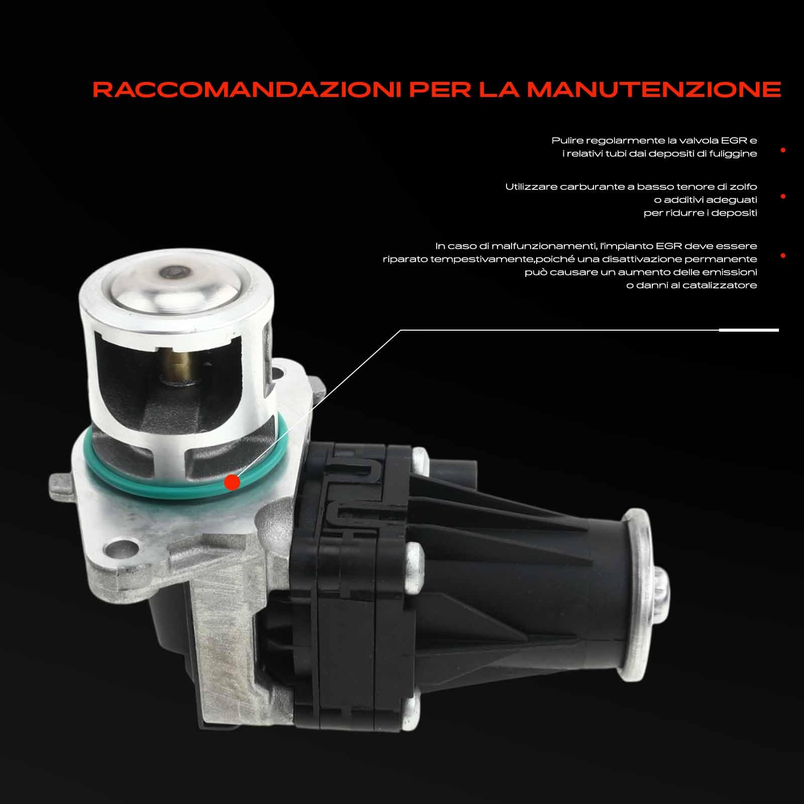 Frankberg Valvola EGR 55216292 | Compatibile con: Corsa D S07, Idea 350, Astra J P10, Astra J Caravan P10, Punto Evo 199, Grande Punto 199