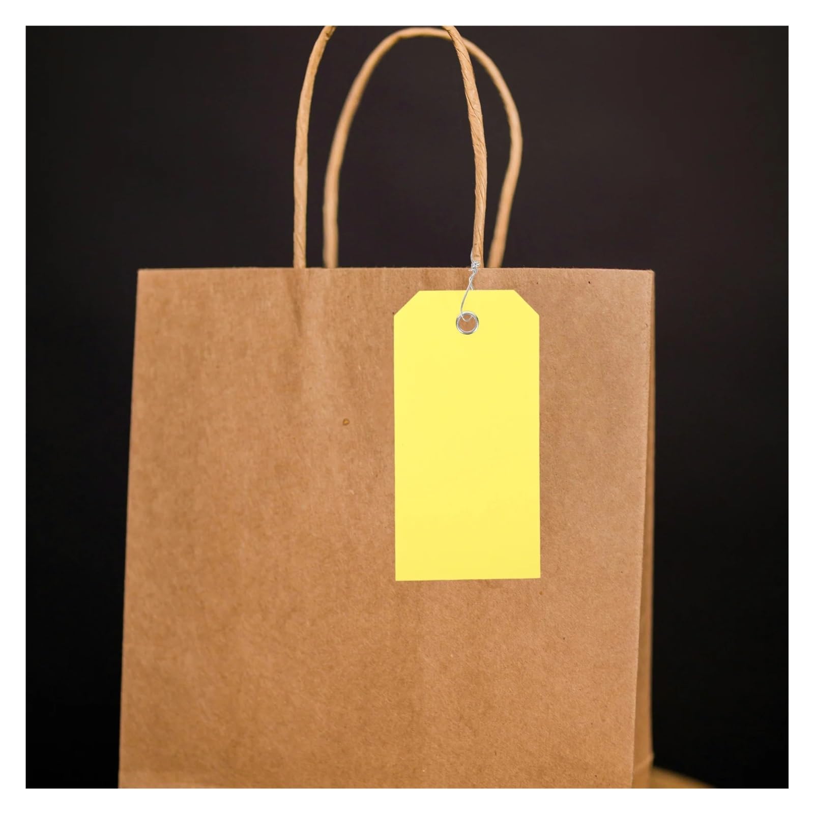 Etiquetas de precio con cuerda, 100 piezas de etiquetas colgantes de equipaje en blanco reutilizables para bolsa de nombre, ropa para maleta, mochila para precio de exhibición
